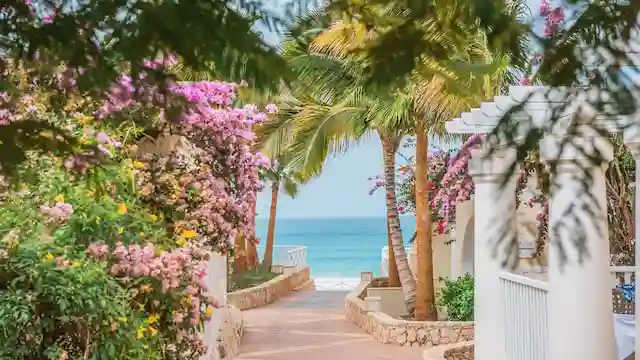 De verlichte wandelpaden op Iberostar club Boa Vista worden versierd door bougainville.